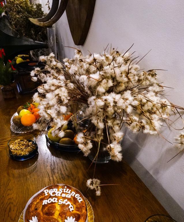 Pensiunea Casa Noastra Arieşeni 외부 사진